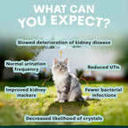 Petz Park Urinary + Kidney Support for Cats 60 Scoops, Cat Urinary Supplement, Tract Support Powder, Cat Food Topper for Wet or Dry Food, Made in Australia