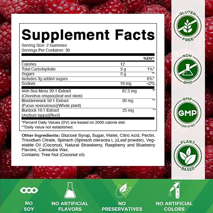 Vitamatic Irish Sea Moss Gummies with Bladderwrack & Burdock Root – Botanical Extract Supplement – Vegan, Non-GMO – 60 Count