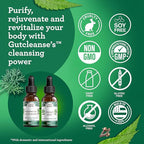 GuruNanda Gutcleanse 2-Step Kit - Dietary Supplement to Help with Digestion - Blend of Fulvic Acid, Wormwood, Clove & Neem Extract, 2x1 FlOz