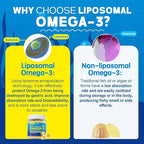 Vegan Omega-3 Gummies 1000mg +CoQ10+Magnesium- EPA 600mg DHA 400mg, Fish Oil Omega 3 Supplements Alternative for Women Men Adults, Liposomal, Algae, Plant Sterols, Garlic,B6,B9, B12, Sugar Free, 2Pack