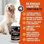 Liquid Glucosamine for Dogs with Chondroitin, MSM & Hyaluronic Acid (16oz). Hip & Joint Supplement Supports Better Mobility & Promotes New Cartilage. Eases Joint Stiffness. Rejenease, Made in USA