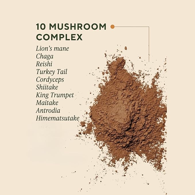OM MUSHROOM SUPERFOOD Master Blend Vegan Protein – Organic Chocolate Plant Protein with 10 Mushrooms, Ashwagandha, BCAAs & B12 – Energy, Recovery & Immune Support – 1.2 lb (16 Servings)