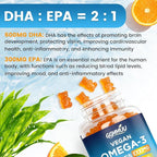 Vegan Omega 3 Gummies 1000MG Algal Oil Omega 3 Supplement for Adults with Algae DHA 600mg & EPA 300mg Fish Oil Alternative - for Eye & Immune Health, No Fish Taste, Orange Flavor, 60 Count
