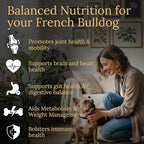Multivitamins, Balanced Nutrition for Your French Bulldog, 90 Count, Made in the USA with Real Bacon