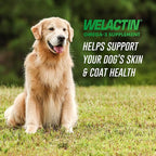 Nutramax Welactin Omega 3 Fish Oil for Dogs,Skin and Coat Health Supplement,Plus Joint,Immune,Kidney,and Brain Support,Premium Omega 3 Fatty Acids,for Dogs,16 Ounce Liquid,(Pack of 2)