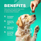 Probiotics for Dogs Gut Health, Digestion, Immunity, Yeast Balance, Itchy Skin, Allergies Support - Dog Probiotic Chews with Digestive Enzymes for Gut Flora- Soft Treats with Pumpkin and Yeast Powder