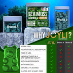 JOYLI Nutrition 2 Pack - Sea Moss Gummies for Adults & Kids – Vegan Irish Sea Moss Supplement with Bladderwrack & Burdock Root – Sugar-Free Immune Support Supplements - 60 Gummy Bears per Pack