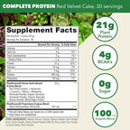 PlantFusion Complete Vegan Protein Powder - Plant Based Protein Powder With BCAAs, Digestive Enzymes and Pea Protein - Keto, Gluten Free, Soy Free, Non-Dairy, No Sugar, Non-GMO - Red Velvet 2 lb