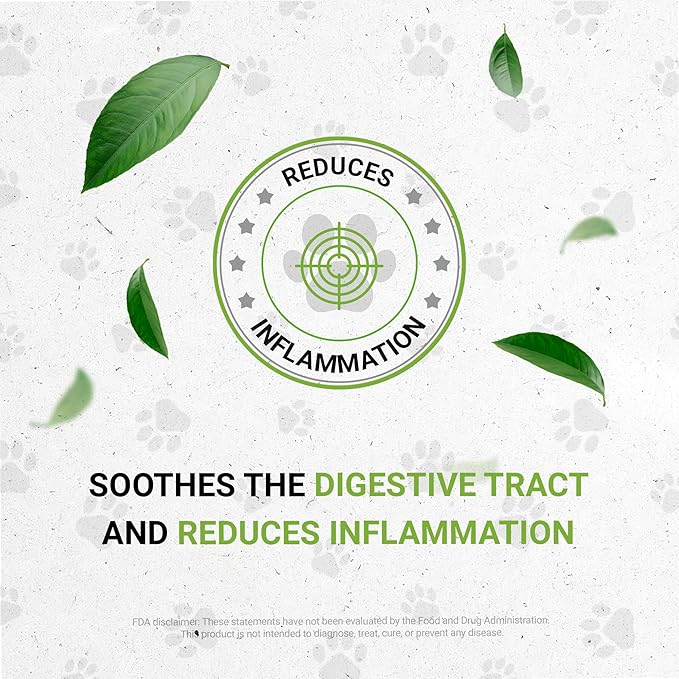 Lion's Digestion | Natural Herbal Dietary Supplement for Cats | Healthy Digestion Support | Alcohol-Free Extract, Fennel Seed, Chamomile, Dandelion Root, Calendula, Peppermint 2 oz