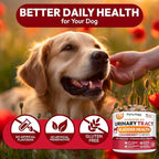 Dog UTI Treatment - 170 Cranberry Chews for Dogs - Urinary Tract Infection, Bladder & Kidney Health Multivitamin - Cranberry Supplement for Dogs with D-Mannose - Dog Vitamins and Supplements