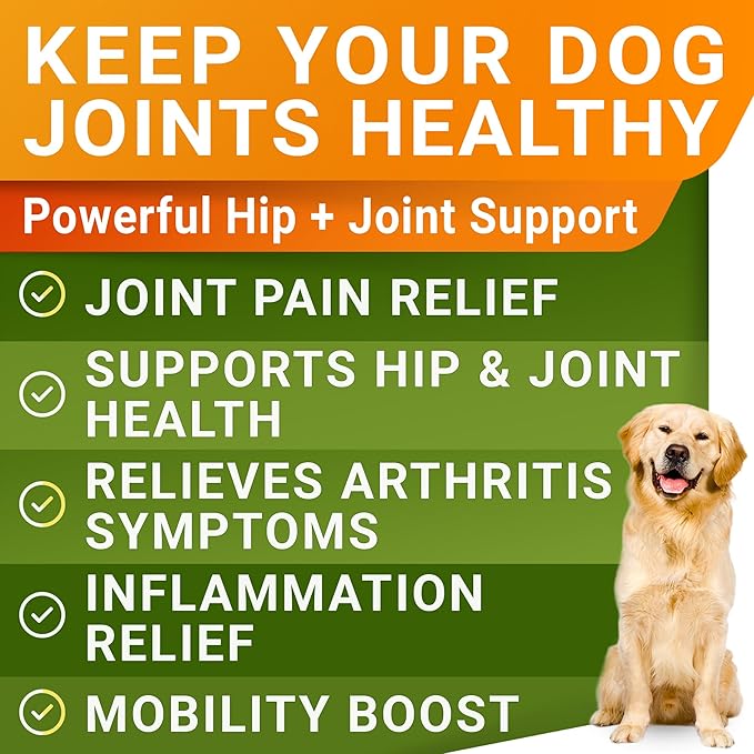 STRELLALAB Liquid Glucosamine for Dogs 32 OZ - Joint Support - All-Natural Hip & Joint Supplement, Glucosamine Chondroitin Liquid, MSM & Collagen for Dogs Mobility, Joint Pain Relief (Pack of 2 16oz)