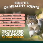 Petz Park Hip + Joint Cat Supplement 60 Scoops, Cat Joint Supplement with Glucosamine, Chondroitin and MSM, Cat Food Topper for Wet and Dry Food, Mobility and Joint Support, Made in Australia