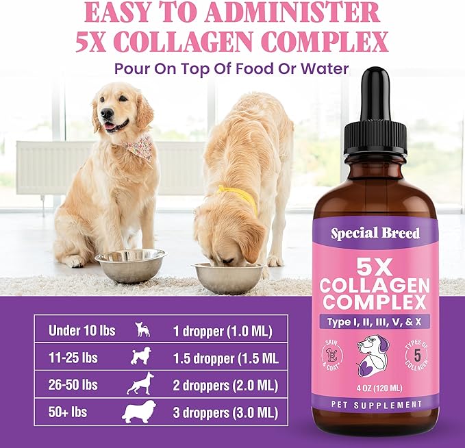 Premium Collagen for Dogs - Liquid Support for Joints, Skin, Coat, Bone, Immune System & HIPS - Collagen Supplement - Made in USA - 4oz