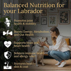 Multivitamins, Balanced Nutrition for Your Labrador, 90 Count, Made in the USA with Real Bacon