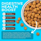 BIENA Chickpea Snacks - Crunchy Roasted Chickpeas - High Fiber Vegan Protein Snacks for Adults and Kids - 5 Ounce Individual Pack - Rockin' Ranch