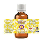 Deve Herbes Pure Curry Leaf (Patta) Essential Oil (Murraya koenigii) Steam Distilled (Pack of Three) 100ml X 3 (10 oz)