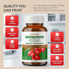 WONDER FAMILY Berberine 500 mg GLP-1 Weight Loss Supplement – Berberine HCl with Ceylon Cinnamon, Probiotics, Vitamin D3 & K2 – Glucose Metabolism & Appetite Support – 2 Pack - 120 Capsules