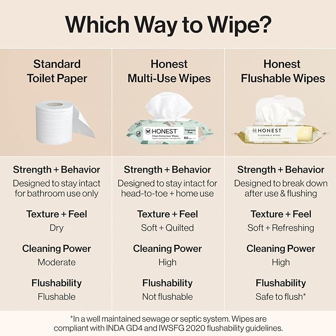 The Honest Company Flushable Wipes for Sensitive Skin, Hypoallergenic, Fragrance-Free, Gilded Wings Design, 126 Count