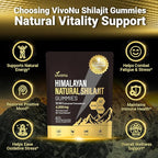 VivoNu Shilajit* Gummies,Pure Himalayan* micronutrient Supplement, Himalayan Premium Ingredient with Shilajit, Ashwagandha, Gokshura, Fulvic Acid & 85+ Trace Minerals I for Men & Women (4000MG/4 Bag)