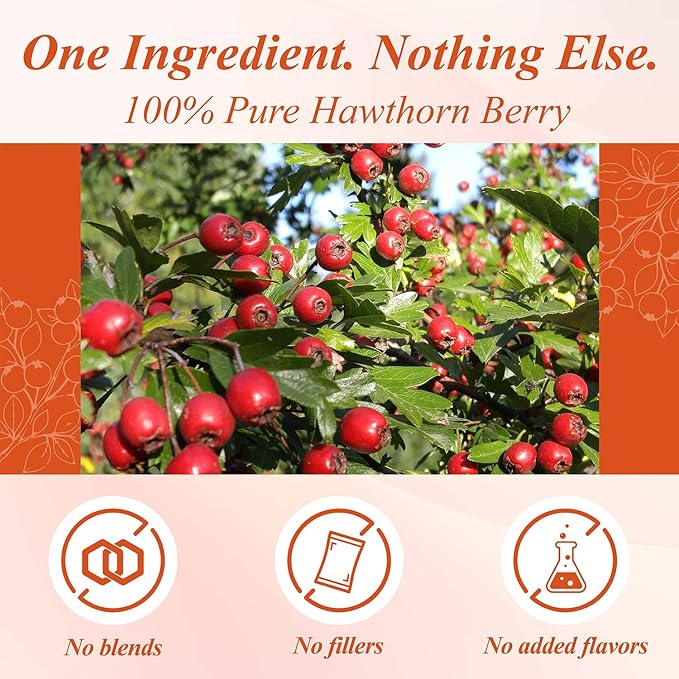 WT WEETEE Hawthorn Berry Tea Bags 100 Count, 100% Hawthorn Fruit, Corn Fiber Pyramid Bags, Antioxidant & Caffeine-Free Herbal Tea