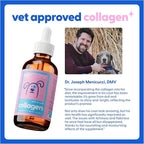 Taily Liquid Collagen for Dogs Skin and Coat Supplement, Cats | Taily Liquid Premium Grass-fed Collagen | Itch Relief for Dogs with Allergies, Biotin, Vitamin C and Hyaluronic Acid | Made in USA