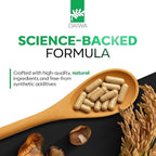 Daiwa PeakImmune4® – Immune Support Supplement for Adults with Rice Bran Arabinoxylan Compound (RBAC) and Enzyme from Shiitake Mushroom – 50 Capsules