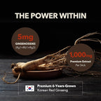 DailyUp Korean Red Ginseng Extract Stick 1000mg | Boost Energy | Enhance Memory | Support Immune System | Vegan | Liquid Supplements (30 Sticks)