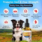 Liquid Collagen for Dogs and Cats, Skin & Coat Supplement, Itch Relief, Joint & Mobility Support, Enriched with Grass-Fed Collagen, Daily All-in-One Pet Health Formula