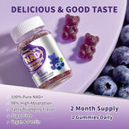 （2 Pack） NAD Gummies Supplements for Women, Pure 500mg NAD - Cell Regeneration, Energy & Metabolism Support, Vegan,Sugar Free, Additives Free, Blueberry Flavor