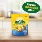 belVita Energy Snack Bites, Blueberry and Sunflower Seed, 5 oz (Pack of 2)