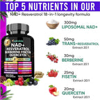 Adndale Liposomal NAD Supplement. Longevity Formula NMN Supplement Alternative. 180CT Advanced NAD+ Resveratrol