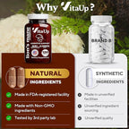 VitaUp Mushroom Supplement - USA Made 10 in 1 Mushroom Complex - Mushroom Capsules with Lions Mane, Cordyceps, Turkey Tail, Reishi, Shiitake for Cognitive & Immune Support - 120 Count