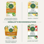 Traditional Medicinals Tea, Organic Ginger Aid, Promotes Healthy Digestion, 16 Tea Bags
