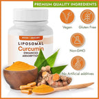 Liposomal Turmeric Curcumin Supplement - High Absorption Capsules for Immune & Joint Support - Non-GMO, No Fillers, No Additives, No Black Pepper - 500mg Per Serving - 60 Capsules