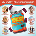 Berberine Gummies 1200mg with Ceylon Cinnamon 200mg, Milk Thistle Extract & Turmeric, Vegan Berry Flavor, Non-GMO, Gelatin-Free, Gluten-Free, 60 Count