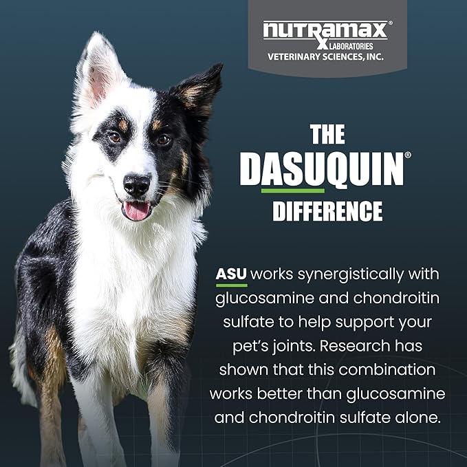 Nutramax Dasuquin for Small to Medium Dogs, Joint Health Supplement, Contains Glucosamine for Dogs, Plus Chondroitin, ASU, MSM and More, Supports Healthy Joints, Chewable Tablets, 150 Count