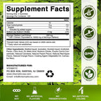 Vitamatic Moringa Gummies – Sugar-Free 50:1 Plant-Based Extract – Green Superfood – Pectin-Based, Vegan, Non-GMO – 240 Gummies