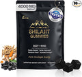 DLNIA 13-in-1 Shilajit Gummies with KSM-66® Ashwagandha | 4000 mg Himalayan Shilajit Extract (20:1), Choline & Botanicals | Sugar-Free, Vegan | Energy, Focus & Daily Vitality Support for Men & Women