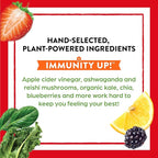 Orgain Organic Greens + 50 Superfoods Immunity Up! Powder,Honeycrisp Apple-Immune Support,Probiotics,Vitamin C,D&Zinc,Apple Cider Vinegar,Ashwagandha,Cordyceps&Reishi Mushrooms-0.62lb,(Pack of 2)