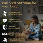 Multivitamins, Balanced Nutrition for Your Corgi, 90 Count, Made in the USA with Real Bacon