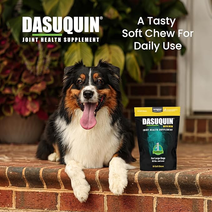 Nutramax Dasuquin for Large Dogs, Joint Health Supplement, Contains Glucosamine for Dogs, Plus Chondroitin, ASU, MSM and More, Supports Healthy Joints, Soft Chews, 84 Count