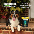 Nutramax Dasuquin for Large Dogs, Joint Health Supplement, Contains Glucosamine for Dogs, Plus Chondroitin, ASU, MSM and More, Supports Healthy Joints, Soft Chews, 84 Count
