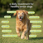Native Pet Senior Daily Dog Vitamins & Supplements – 12-in-1 Dog Multivitamin Powder for Senior Dogs – Supports Mobility, Cognition, Digestion, Immune Health & More – 60 Scoops