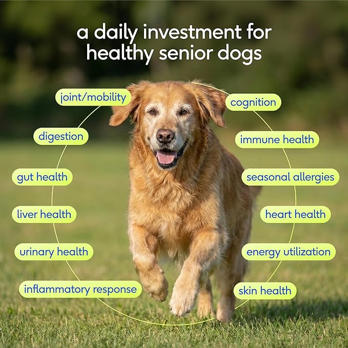 Native Pet Senior Daily Dog Vitamins & Supplements – 12-in-1 Dog Multivitamin Powder for Senior Dogs – Supports Mobility, Cognition, Digestion, Immune Health & More – 120 Scoops