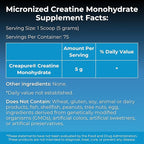 MYOXCIENCE Micronized Creavitalis Creatine | The World’s Purest Micronized Form of Creatine Monohydrate | Supports Muscle Performance, Lean Body Mass, & Cognition | 75 Servings