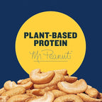 PLANTERS Lightly Salted Cashews, Cashew Halves & Pieces, Plant-Based Protein, 8 Oz Canister, Great Party Snack