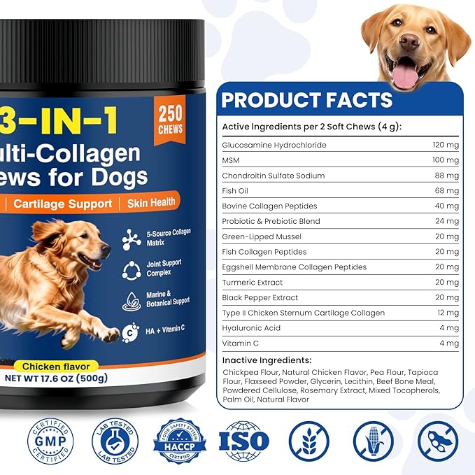 Multi Collagen Soft Chews for Dogs 250 Count for Hip & Joint Supplement Skin & Coat Health Cartilage Mobility Support with Glucosamine Probiotics Hyaluronic Acid Eggshell Membrane (Chicken Flavor)
