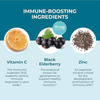 Hyland's Kids Organic Elderberry Plus Gummies, Organic Black Elderberry with ZINC and Vitamin C, Immune Support for Children, 48 Vegan Gummies