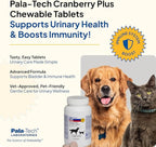 Cat & Dog UTI Treatment - Cranberry Supplement for Dogs&Cats 60 Chewable Tablets for Urinary Tract Infection & Bladder Stone Prevention, Canine Incontinence Support Made in USA