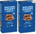 Nature's Bakery Whole Wheat Fig Bars,Blueberry,Real Fruit,Vegan,Non-GMO,Snack bar,Twin packs-,12 Count (Pack of 2)